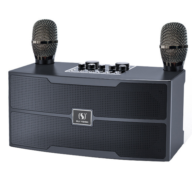 Audio X Music - Microfono portatile wireless ad alta potenza