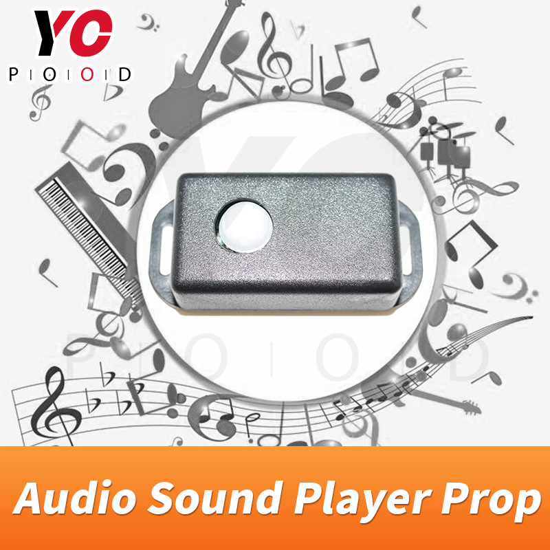 YOPOOD Lettore audio Sensore d - Audio Detect Music recensione e prezzo